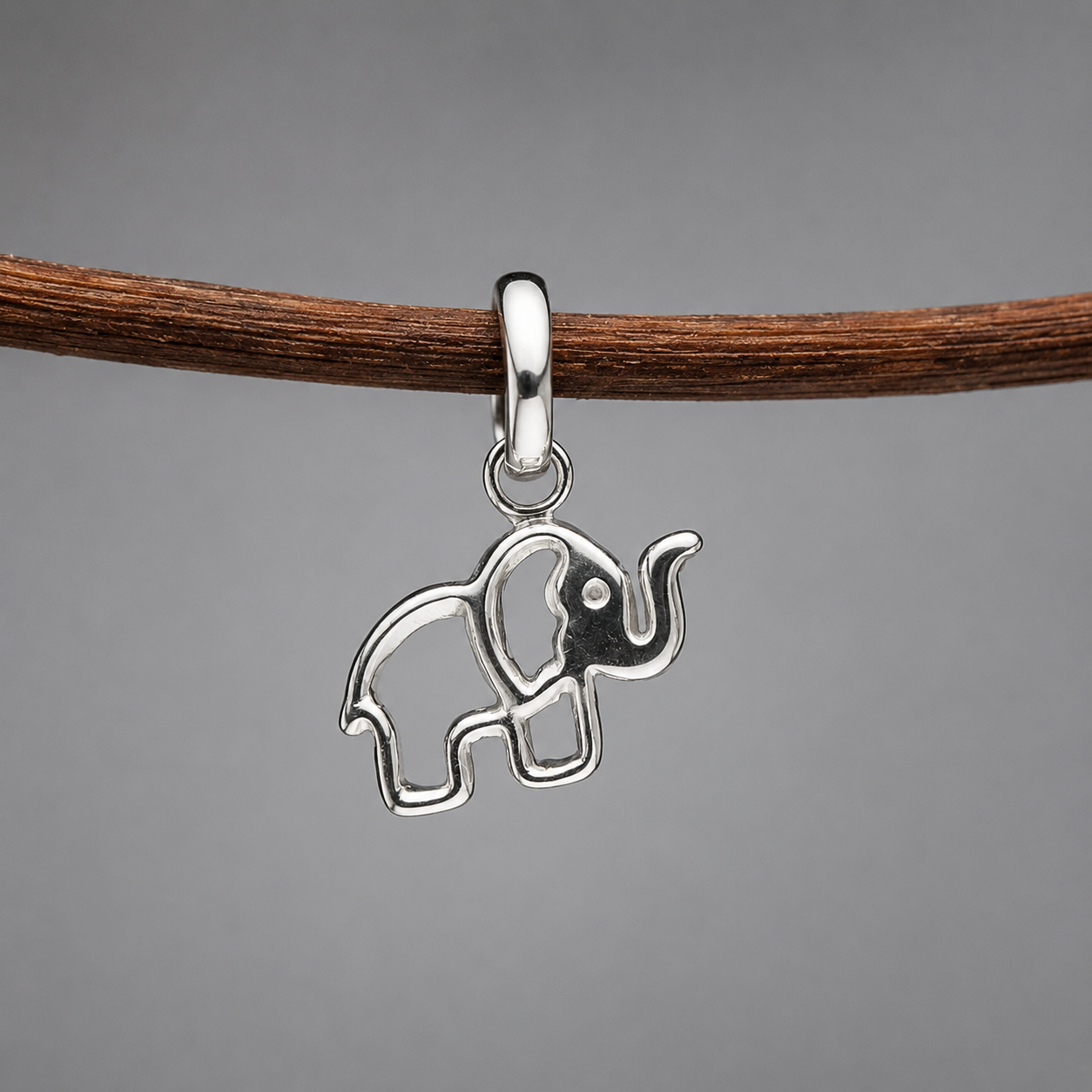 Colgante Elefante Plata 950